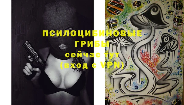 каннабис Алзамай
