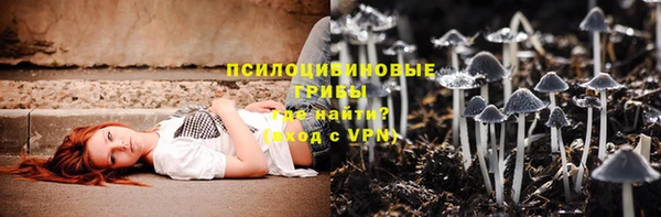 мет Алексин