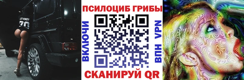 Псилоцибиновые грибы Psilocybine cubensis  Южно-Сухокумск 